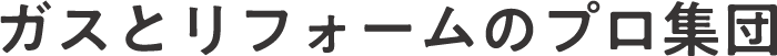 ガストリフォームのプロ集団